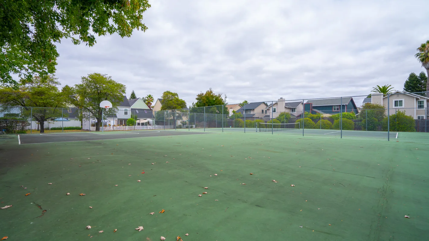 Photo 43